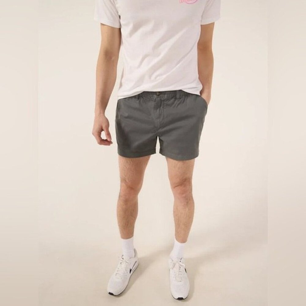 Chubbies Gray Flat Front Men Shorts